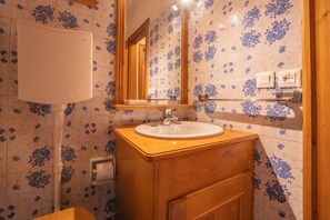 Hair dryer, bidet, towels