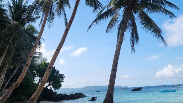 A beach with palm trees and clear blue water. - Castle Rock Boracay (Boracay Island)