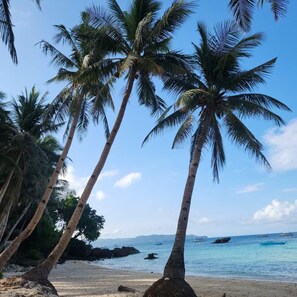A beach with palm trees and clear blue water. - Castle Rock Boracay (Boracay Island)