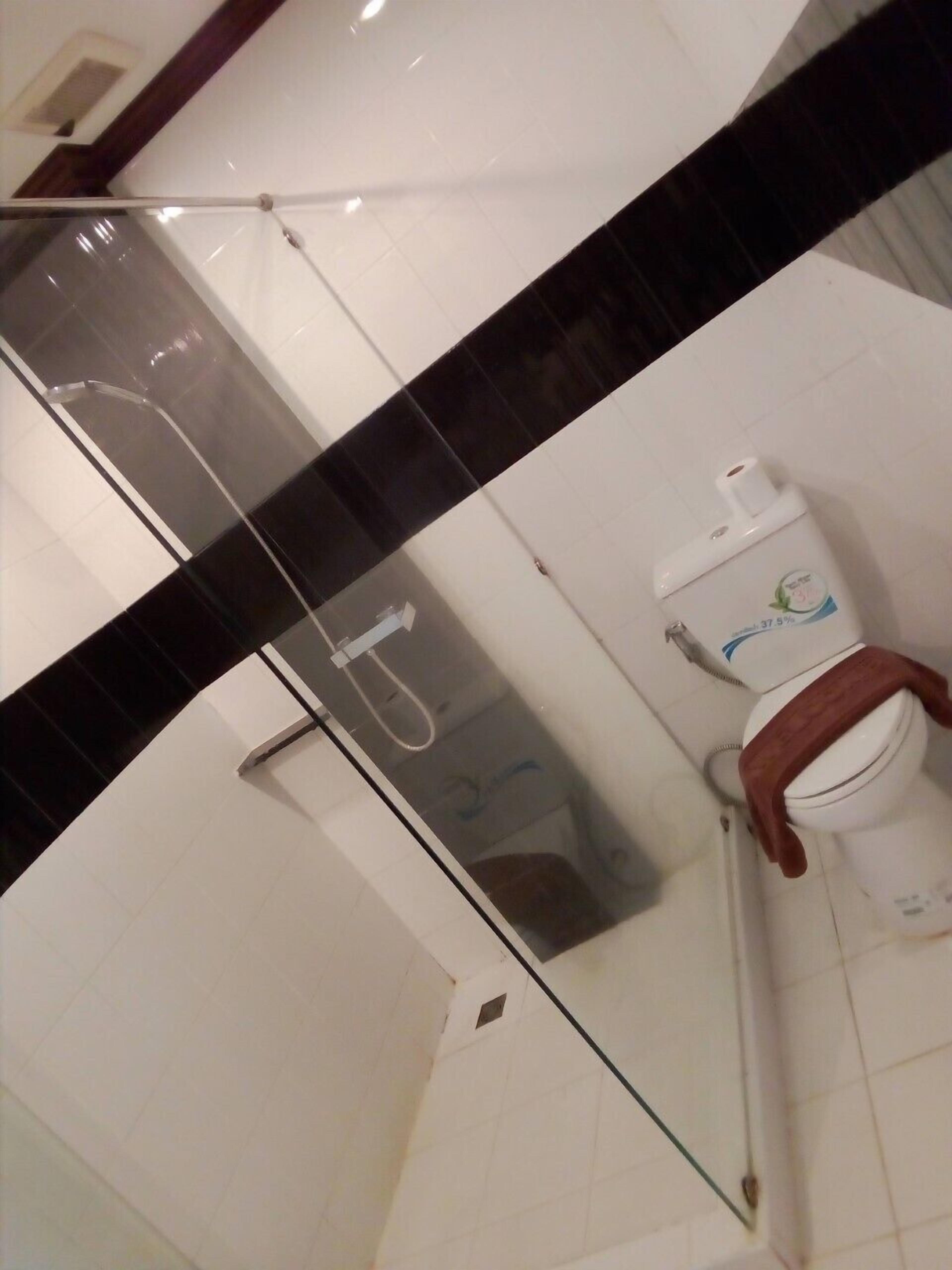 A bathroom with a white toilet, a glass shower enclosure, and a black-tiled floor.