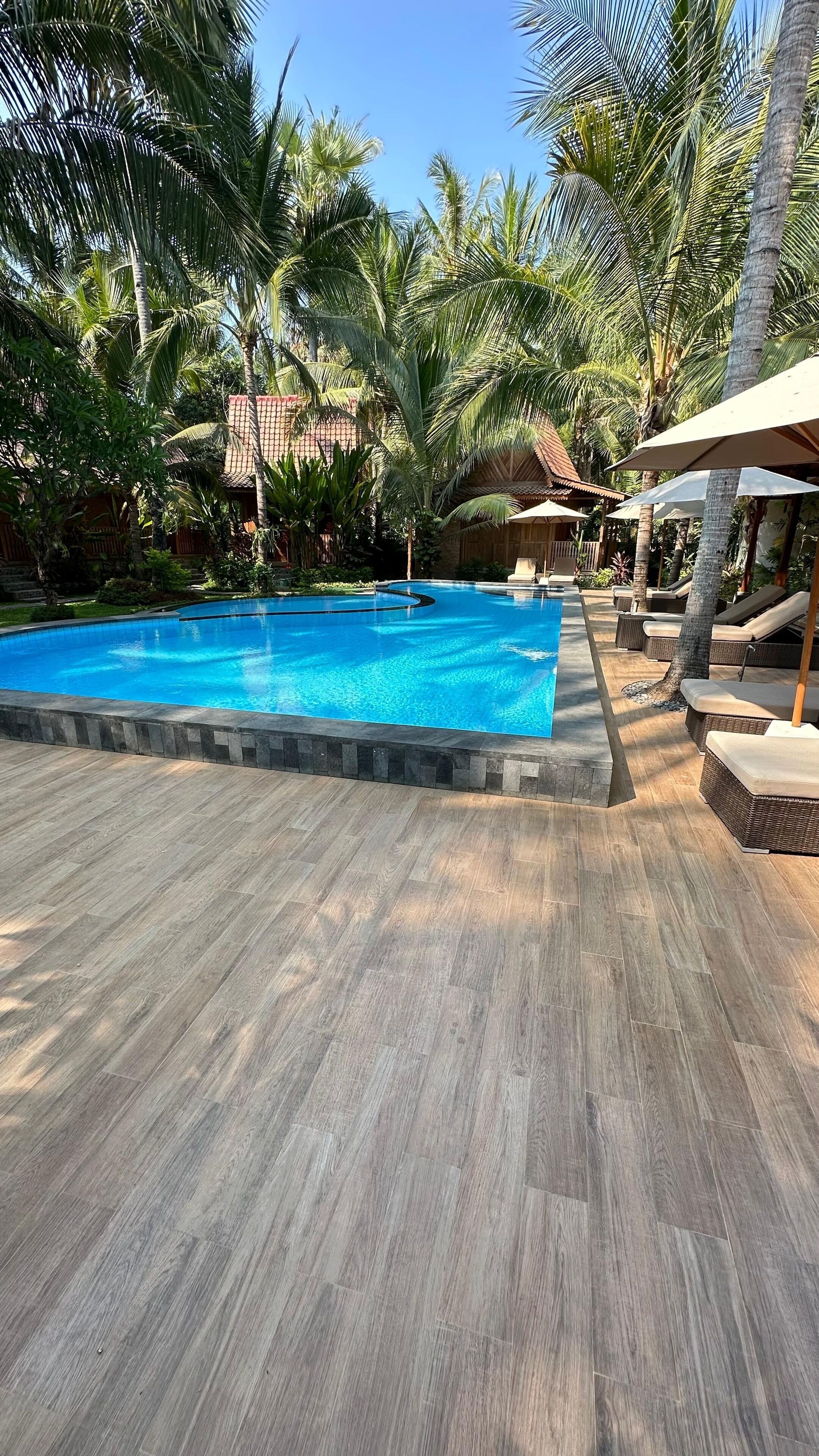 A swimming pool surrounded by palm trees and wooden deck flooring.