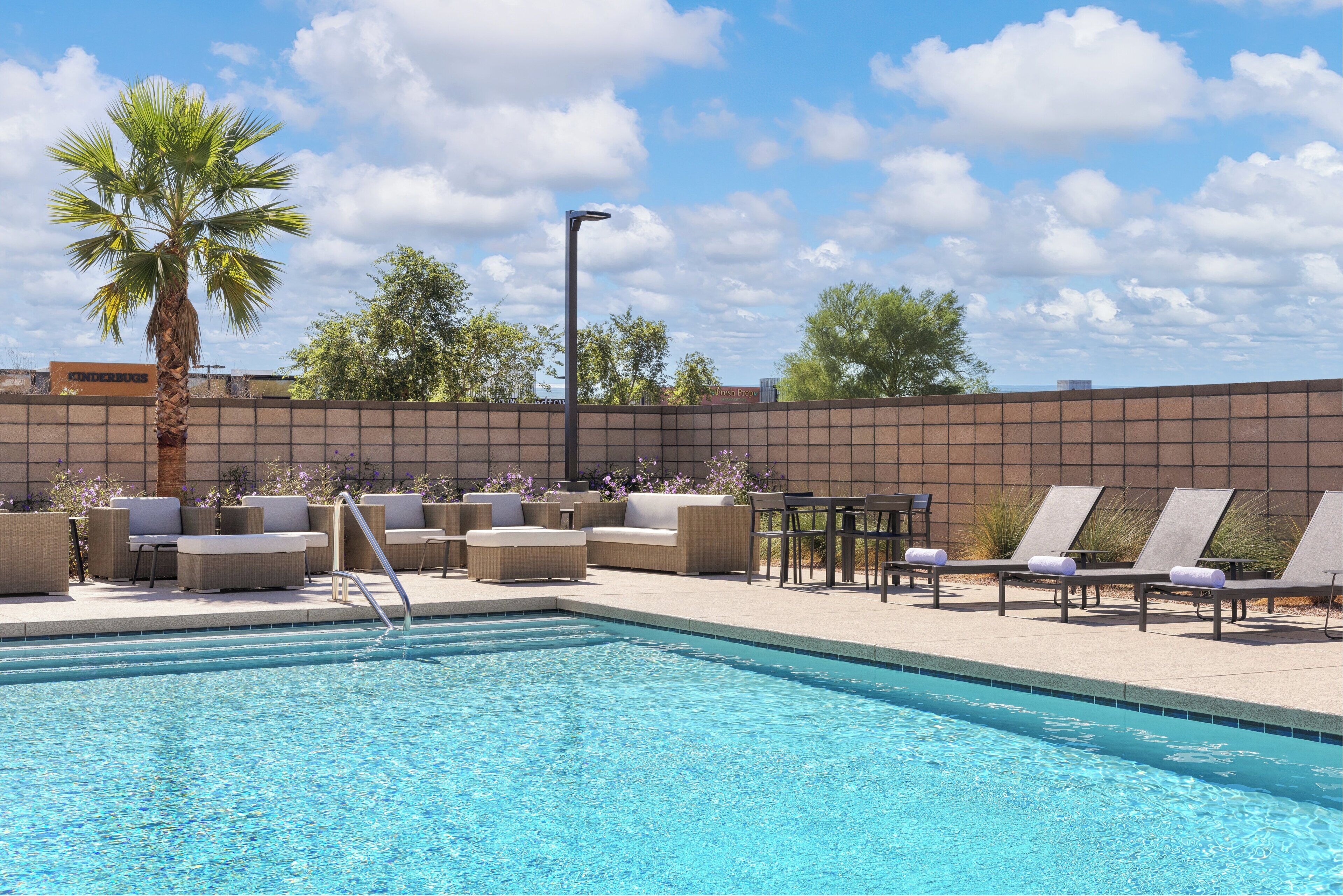 A swimming pool with lounge chairs and a palm tree.
