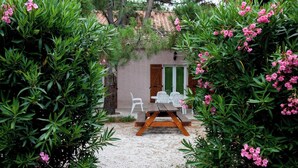 A garden with a wooden bench and white chairs, surrounded by green foliage and pink flowers. - Massane gîte for 2 to 8 people at Mas la Couloumine (Elne)