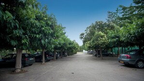 A parking lot with cars parked on both sides, surrounded by trees. - Massane gîte for 2 to 8 people at Mas la Couloumine (Elne)