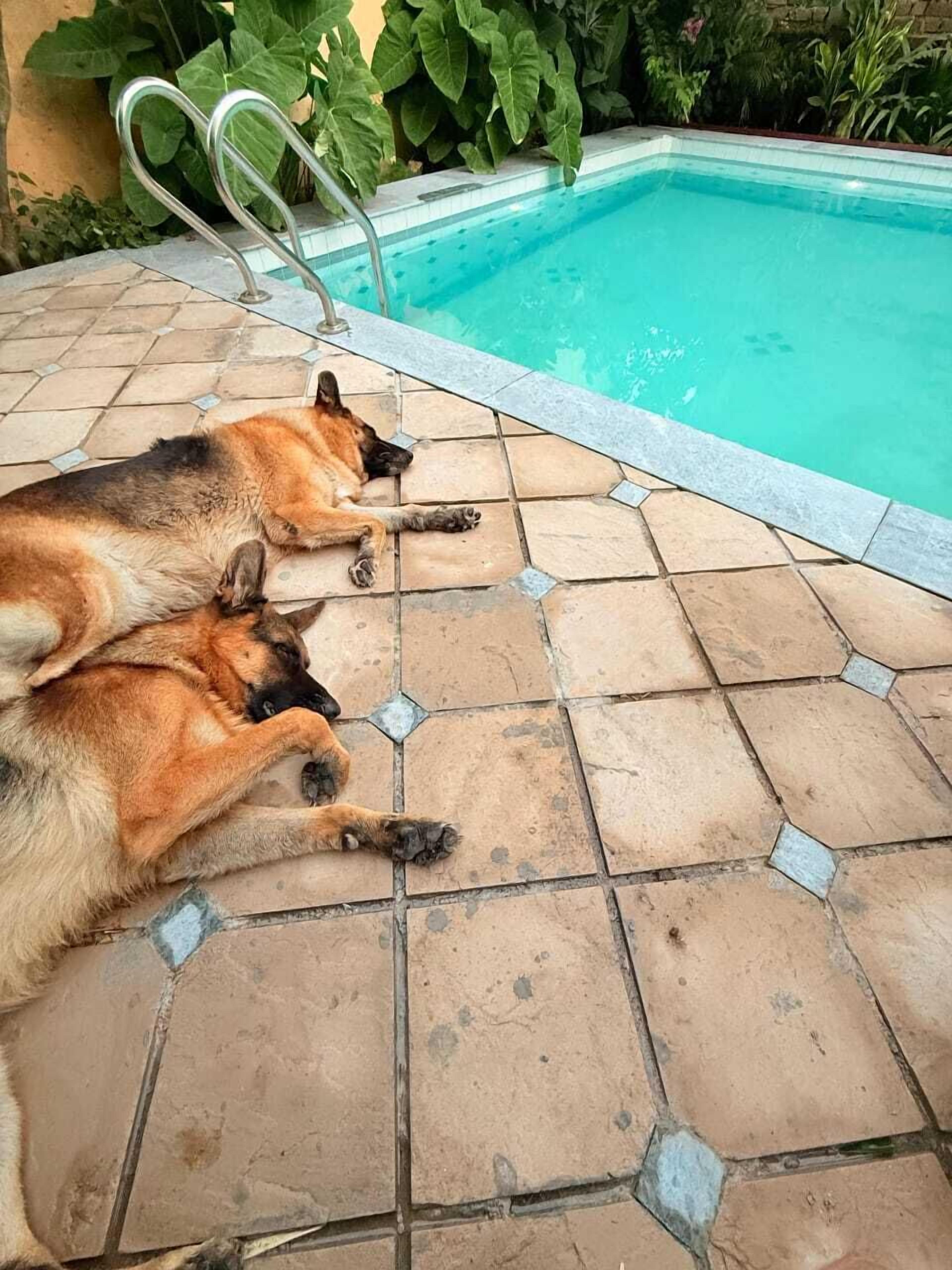 Foto - PETAL OF MEWAR - A Luxury Boutique Hotel