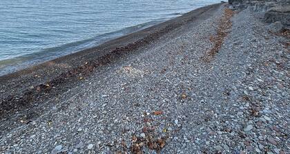 North Coast Cottage. Located on the southern shore of Lake Ontario.