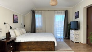 A bedroom with a large bed, a bedside table with a lamp, a TV on a cabinet, and a hanging light fixture.