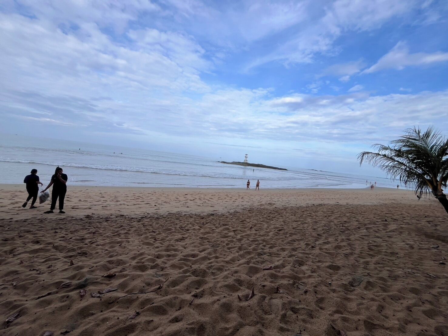A sandy beach with a few people walking, a palm tree, and a lifeguard tower in the distance.