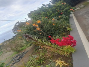 House, 2 Bedrooms, Smoking, Balcony | Property grounds