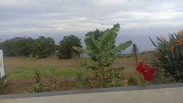 House, 2 Bedrooms, Smoking, Balcony | Property grounds