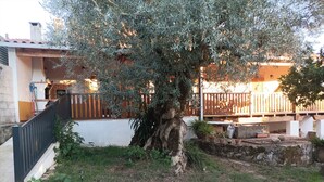 Un sendero de piedra lleva a una casa con cerramiento de madera y un gran árbol en primer plano.