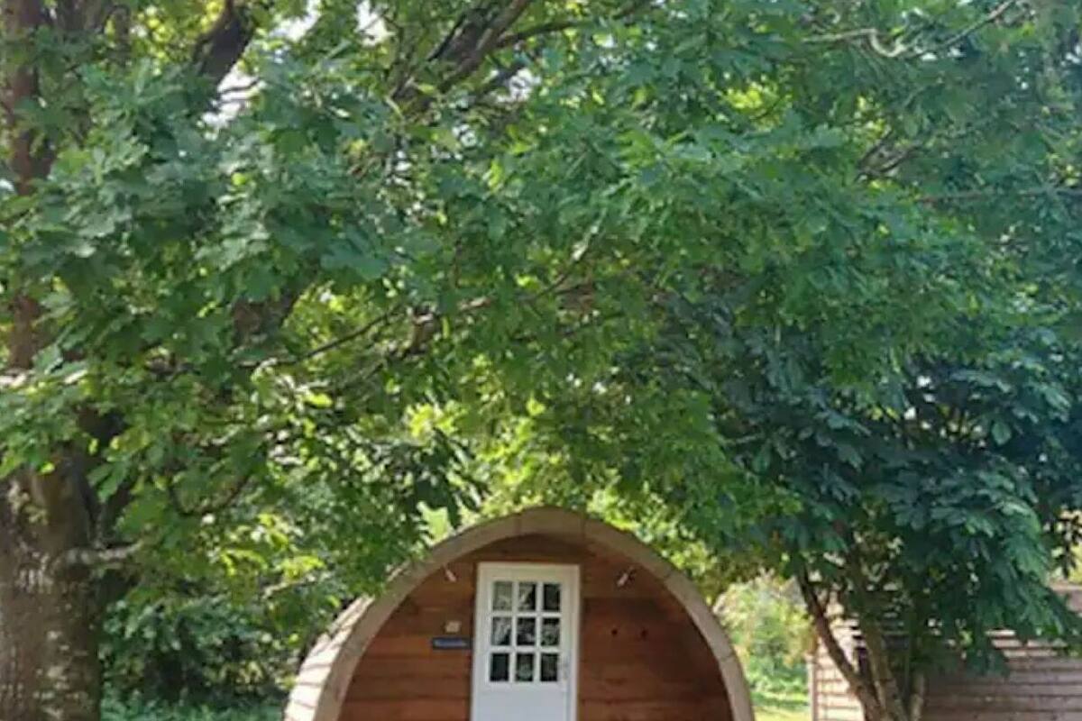 Una estructura de madera con una puerta blanca, rodeada de árboles.