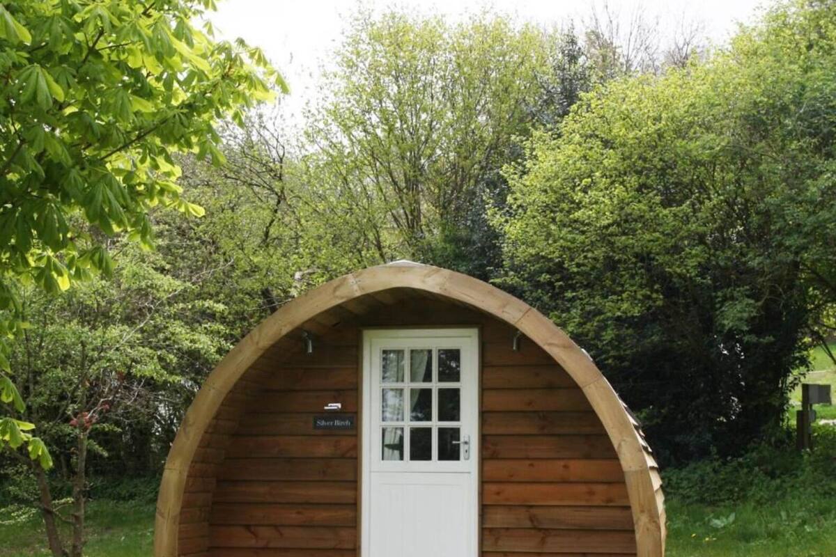 Una pequeña estructura de madera con arco, puerta blanca y ventanas, rodeada de abundante vegetación.