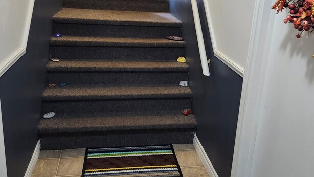 Un escalier dont les marches sont recouvertes de moquette, menant à une porte blanche.