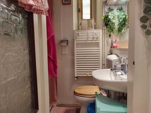 Shower, towels, soap, toilet paper