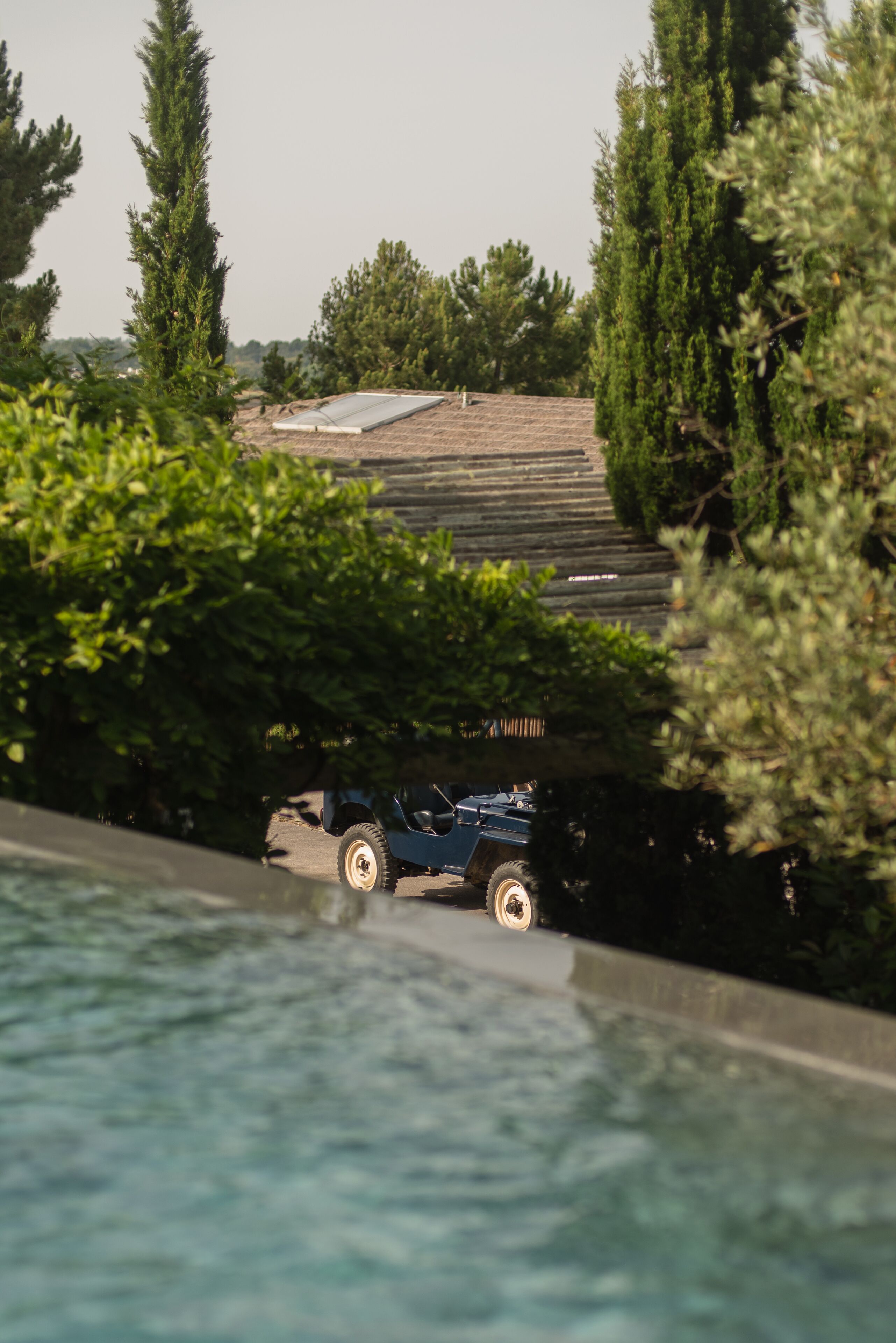 Piscina com vista clara para um edifício ao fundo, rodeada por vegetação.