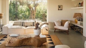 مدفأة، كُتُب، ستيريو