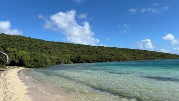 Sun loungers, beach towels