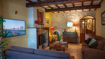 TV, fireplace, books