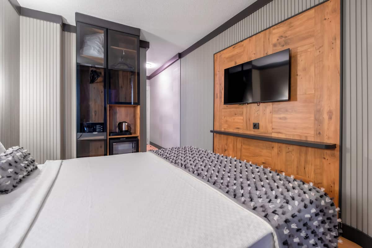 Een moderne hotelkamer met een groot bed, een televisie bevestigd aan een houten wandpaneel en een inbouwkleerkast met spiegel.