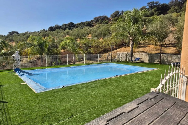 Swimming pool view