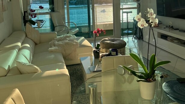 A modern living room with a sofa, coffee table, and orchid plants. - Gorgeous beachfront house with stunning views, light and the sounds of the ocean (Manhattan Beach)