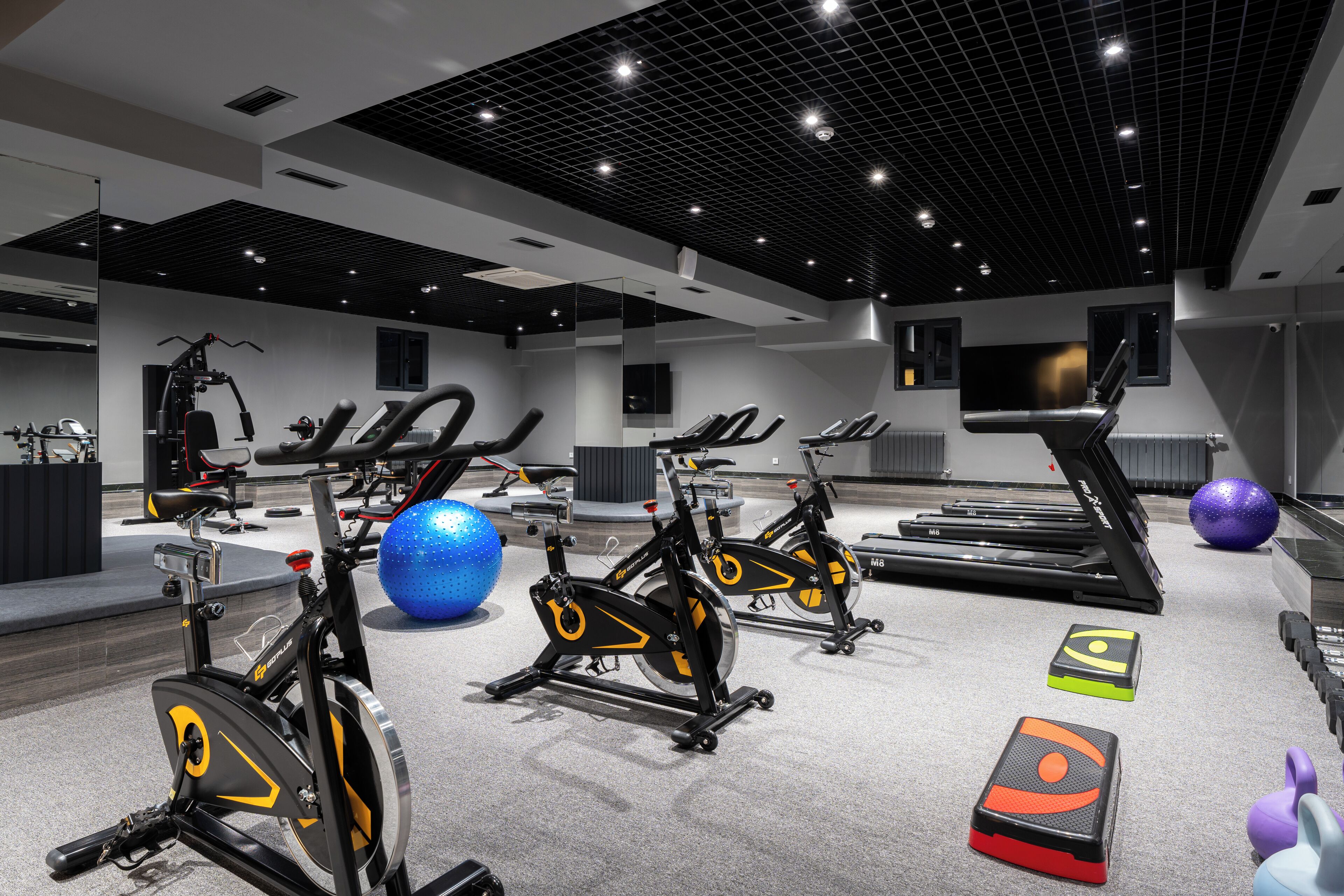 A modern gym with stationary bikes, treadmills, and exercise balls.