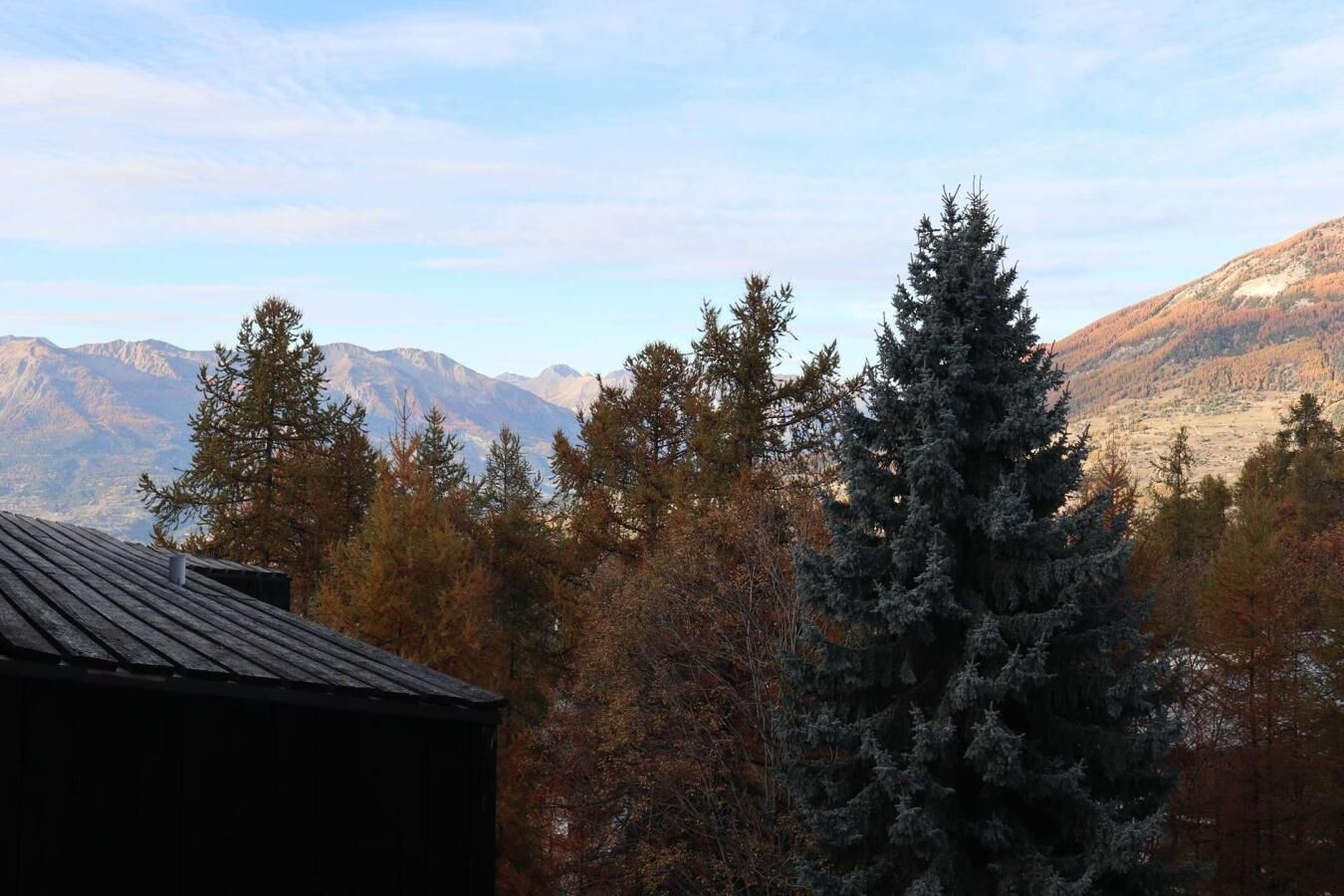 A mountain landscape with evergreen trees and a building with a dark roof.
