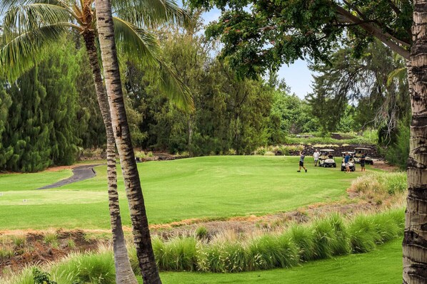 A golf course with a well-maintained green, palm trees, and a group of people and golf carts in the background.
