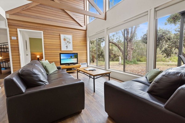 Télévision, cheminée