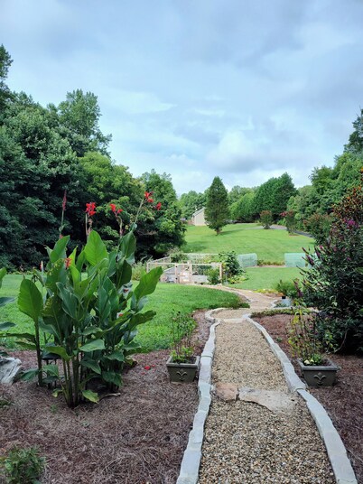 Prvt quiet home Best Location
WNC AgCntr,Arprt,DT AVL,waterfalls,hiking & more