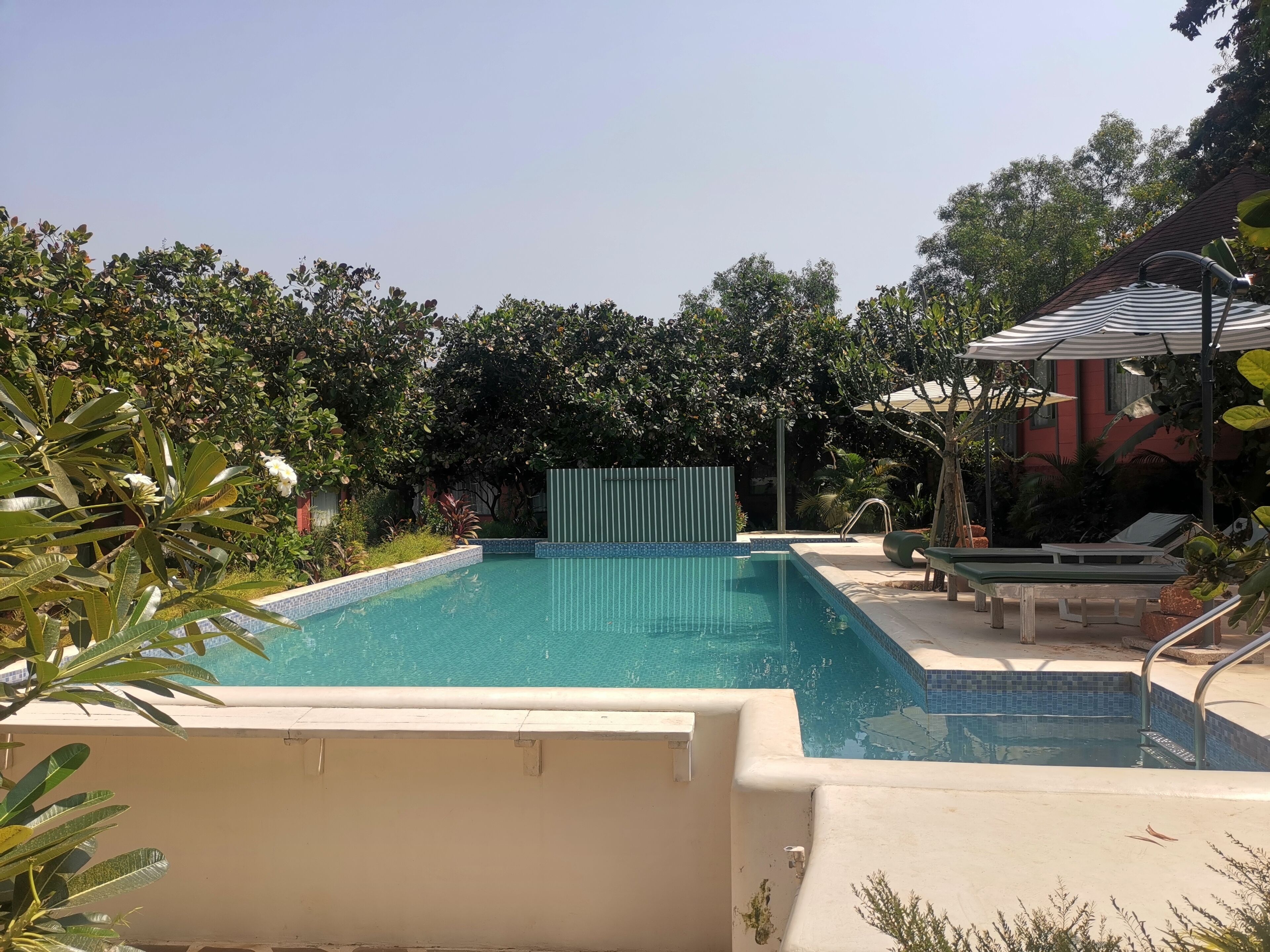 Una piscina con borde de azulejos, rodeada de vegetación y un área de descanso cubierta.