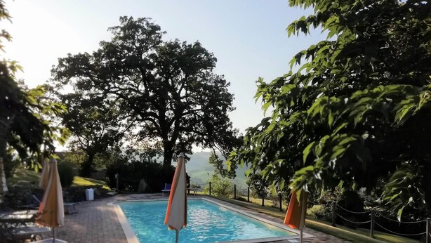 Una piscina con sillones de playa y sombrillas, rodeada de árboles y vistas al paisaje.