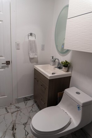 Hair dryer, towels, soap, toilet paper
