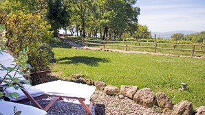 Rom – deluxe, terrasse, utsikt mot vingård | Terrasse/patio