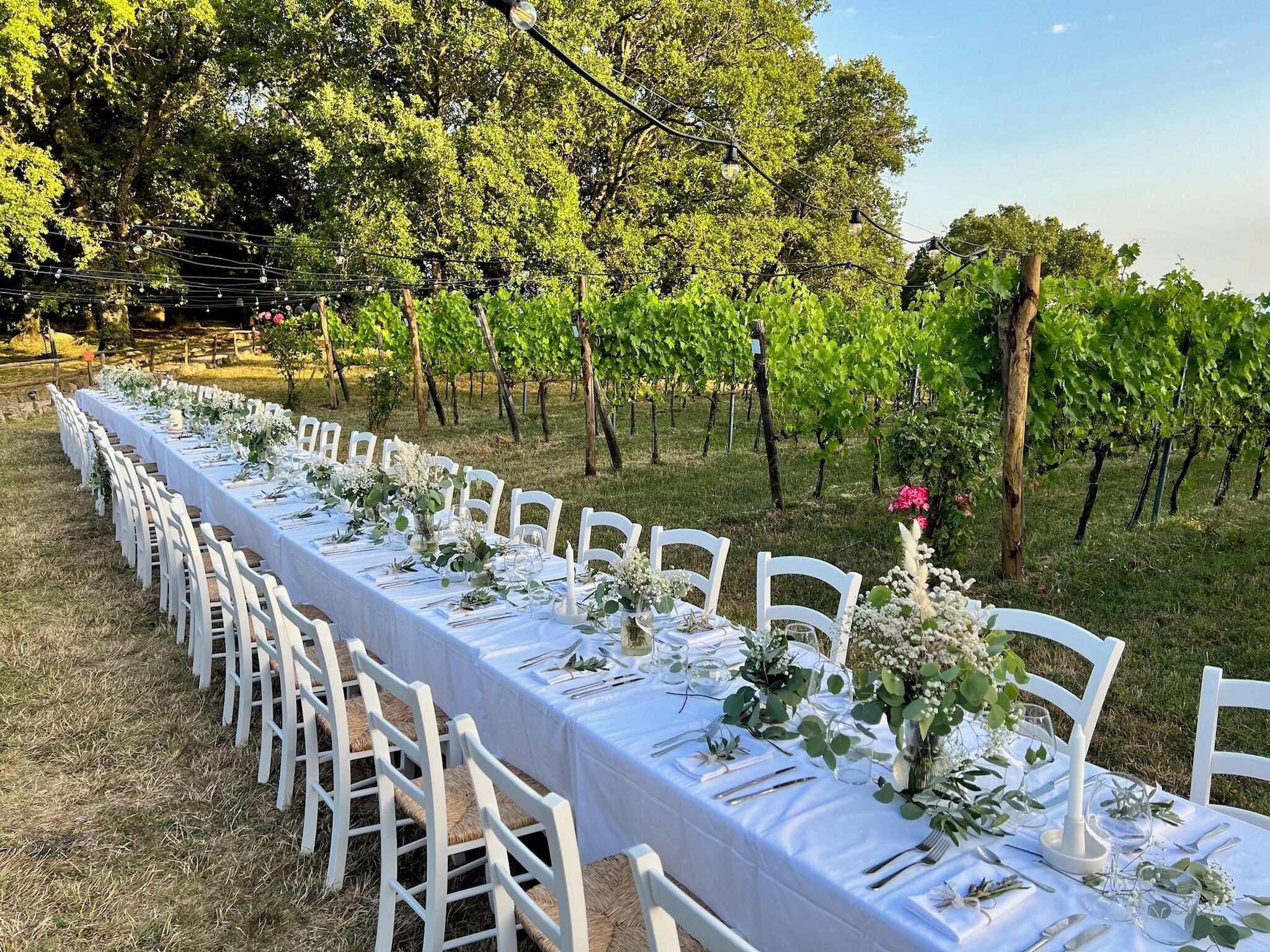 Deluxe Room, Patio, Vineyard View | Terrace/patio