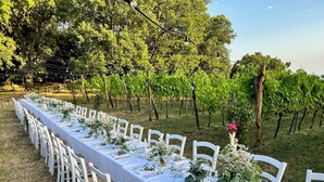 Rom – deluxe, terrasse, utsikt mot vingård | Terrasse/patio