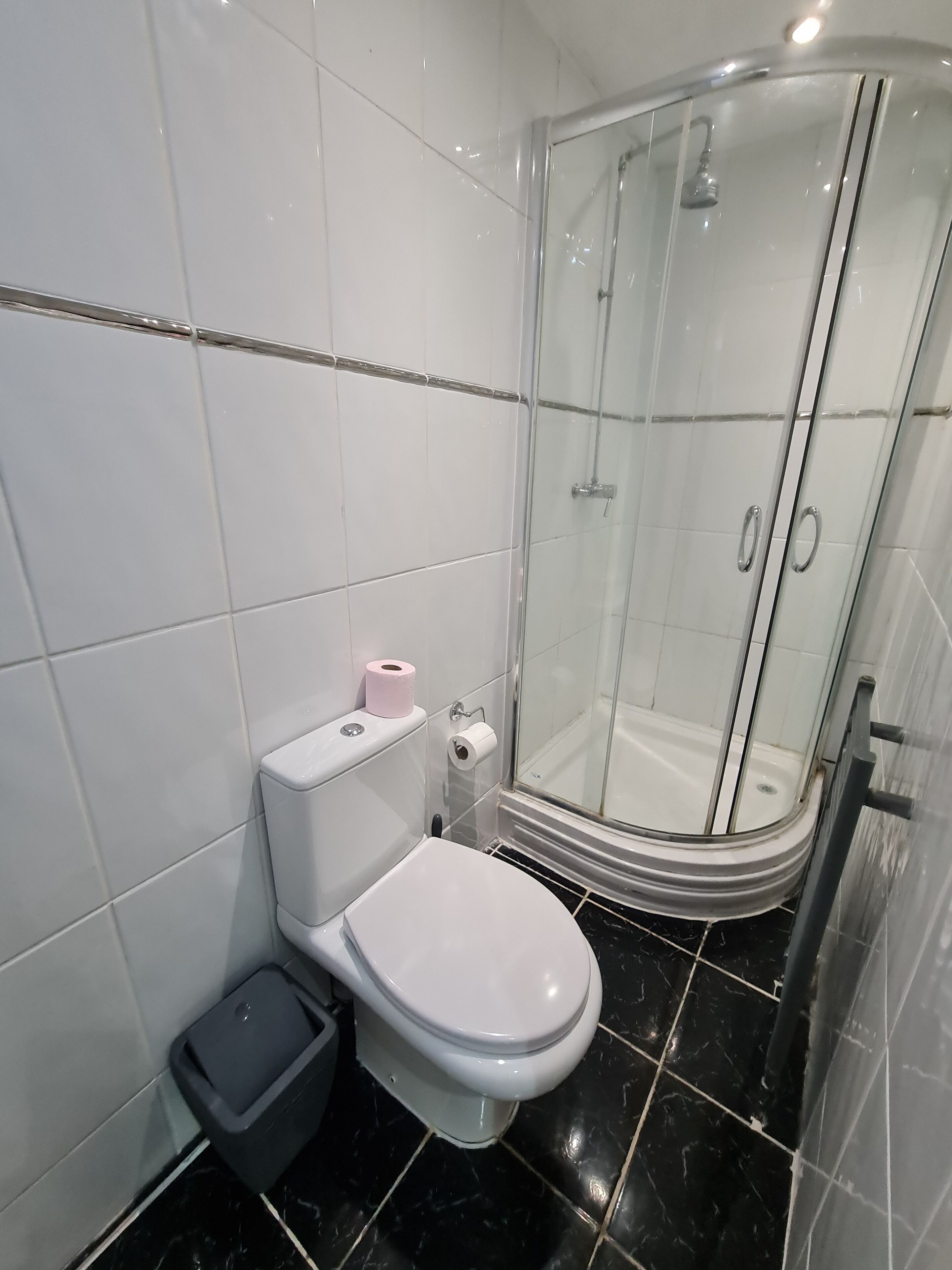 A modern bathroom with a toilet, a trash bin, and a glass-enclosed shower.