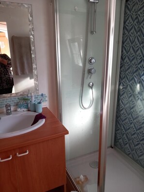 Regadera y papel de baño 