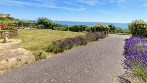A paved pathway leading to a grassy area with purple flowers, a stone wall, and a view of the sea. - Brighton - 3 Beds - Pet Friendly - Sea View (Brighton)