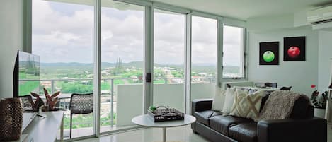 Smart TV, DVD player, ping pong, books