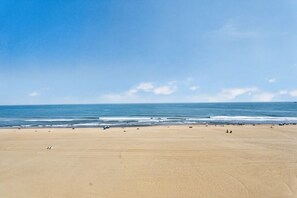 Beach nearby - Elevated Ocean Views | Watch Dolphins Play | Pool! 703 (Virginia Beach)