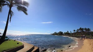 A beach with clear blue water, a palm tree, and a building with a sloped roof. - Summer Deal Oceanfront Poipu Condo with Heated Pool and Lanai (Koloa)