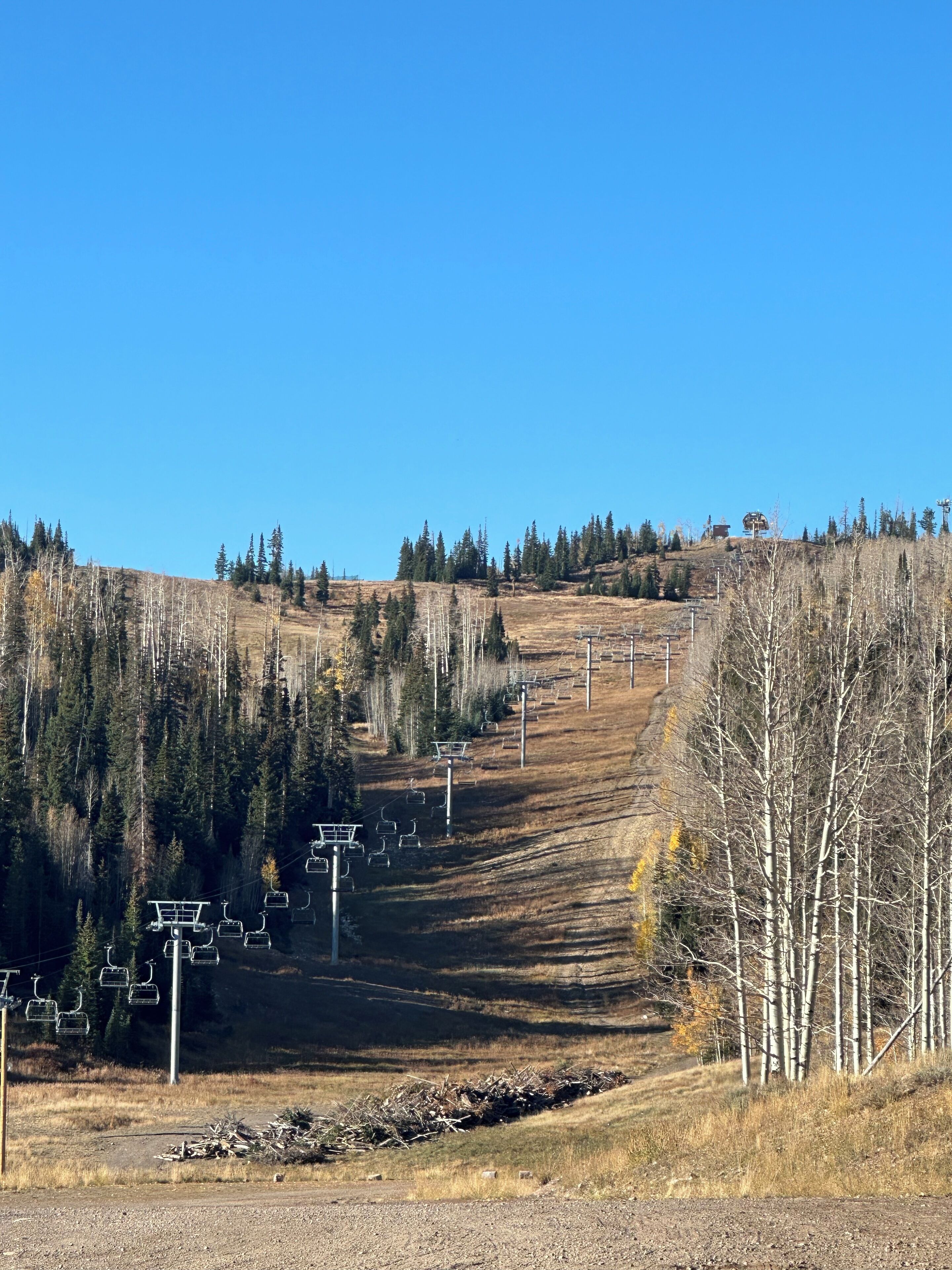 A ski lift system with chairs ascending a mountain slope, surrounded by trees and a clear sky.