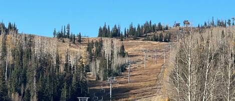 A ski lift system with chairs ascending a mountain slope, surrounded by trees and a clear sky.