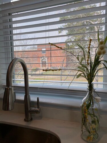 Elizabeth Manor in Downtown Huntsville