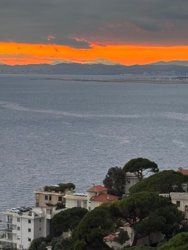 A coastal view with buildings and trees.