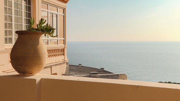 Une grande plante en pot, placée sur un balcon donnant sur la mer.