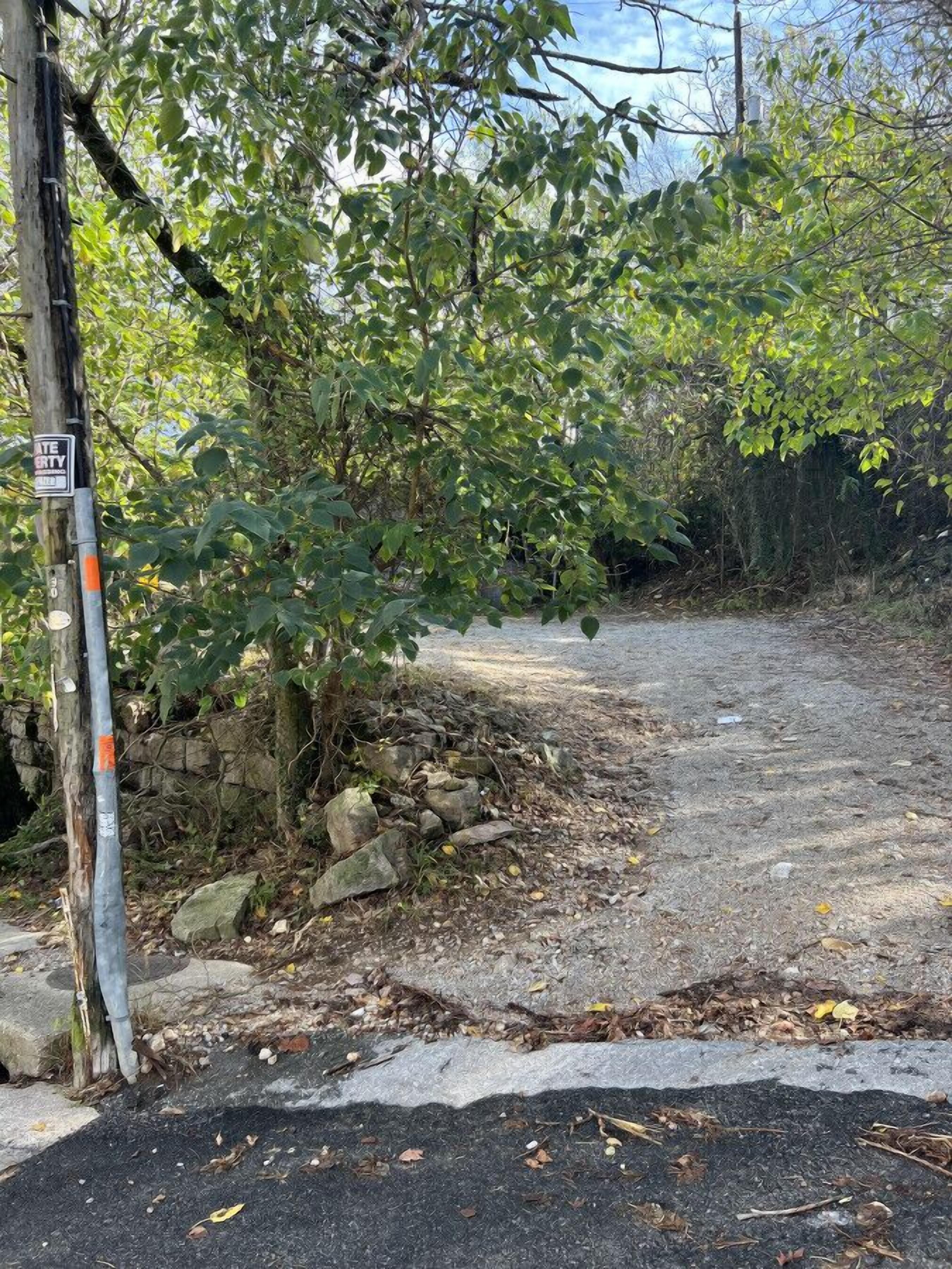 Ein Kiesweg führt durch ein bewaldetes Gebiet, mit einem Strommast und einem Schild.