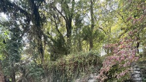 Uma área de pátio com um muro de pedra, uma cerca de madeira e um espaço de estar com um sofá e uma mesa.